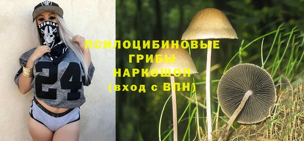 амф Алексин