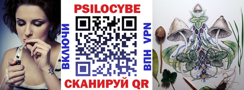 Псилоцибиновые грибы Psilocybine cubensis  OMG вход  Конаково 